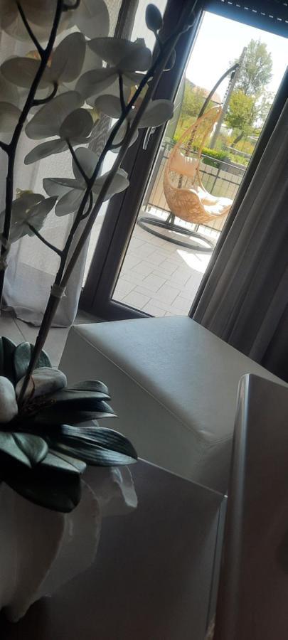 Alba Magica Bed & Breakfast อาเจโรลา ภายนอก รูปภาพ
