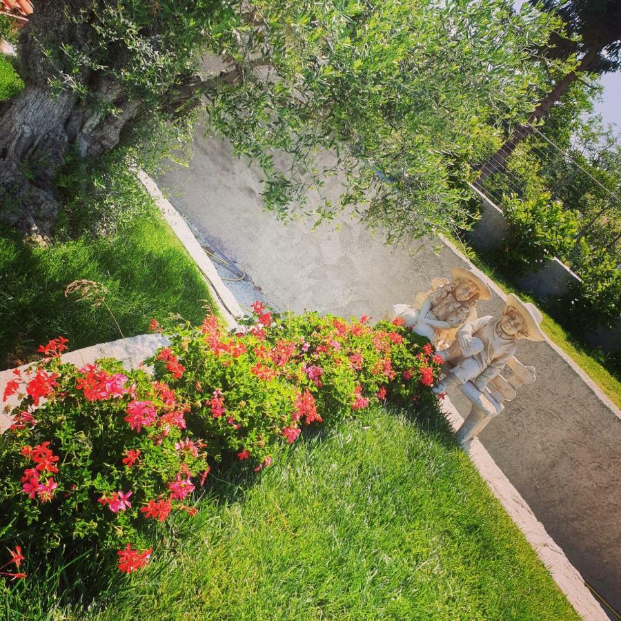 Alba Magica Bed & Breakfast อาเจโรลา ภายนอก รูปภาพ